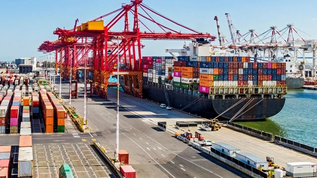 Trade agreement with the United States, what the chief advisor said